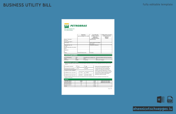 Beispiel einer Gasrechnung für Unternehmen von Petrobras Paraguay Operations and Logistics (Paraguay) – Vorschau